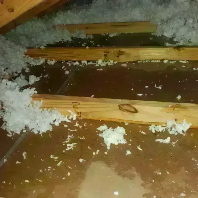 Attic Water Damage in Warsaw, VA