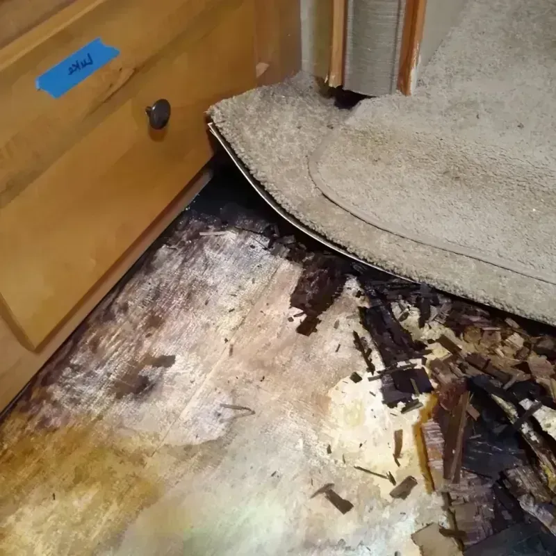 Wood Floor Water Damage in Warsaw, VA